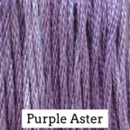 CCT: Purple Aster