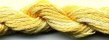 DD S-018: Apricot
