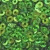 3mm Flat Hologram: Midori