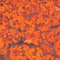6mm Flat Halogram: Orange