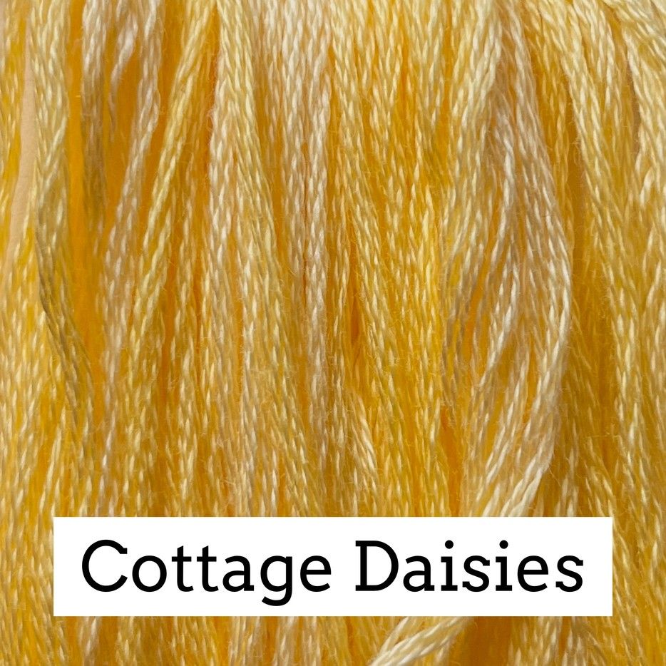 CCT: Cottage Daisies