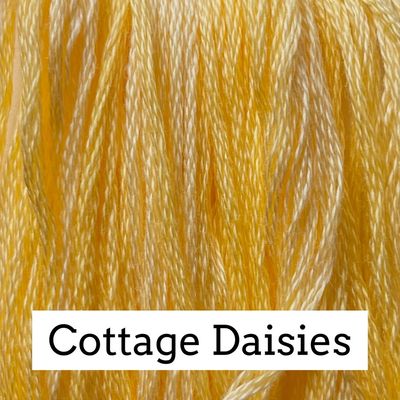 CCT: Cottage Daisies