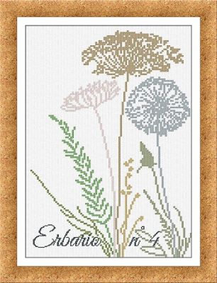 Erbario No 4