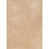 Newcastle 40 Ct-Caramel: Fat Quarter