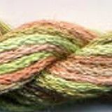 DD S-045: Bush Baby