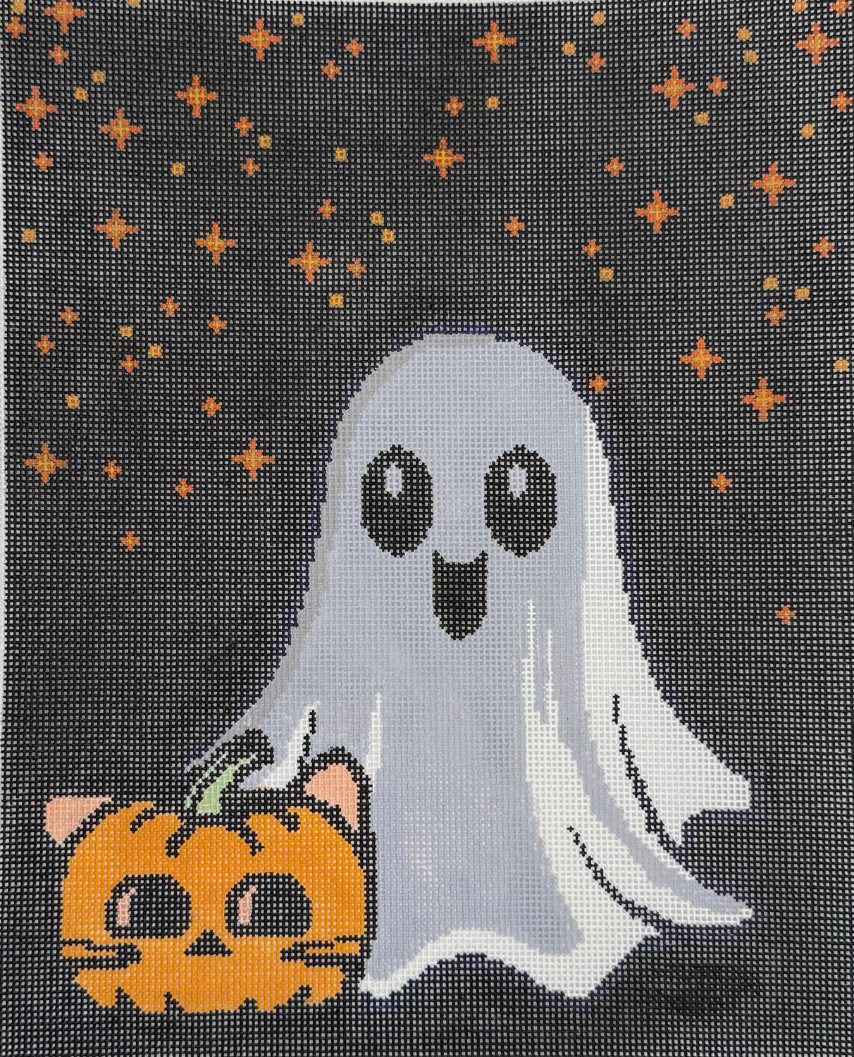 Pet Pumpkin