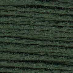 S1064: Dark Fern Green