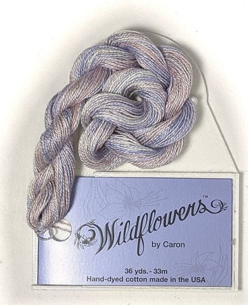 Wildflowers 038: Morning Mist