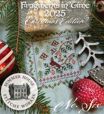 Fragments in Time 2025: No. 6