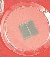 3" Round Acrylic Magnet Frame