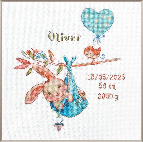Boy Birth Sampler