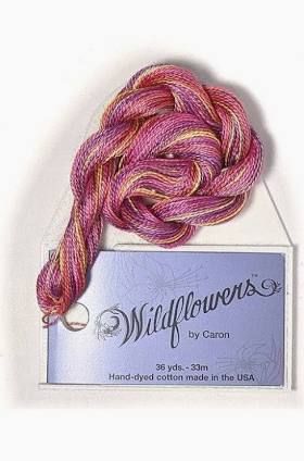 Wildflowers 021: Peach Melba