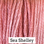 CCT: Sea Shelley