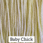 CCT: Baby Chick