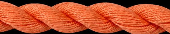 TX 10346: Orange Starfish