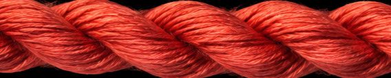 TX 10415: Cajun Spice