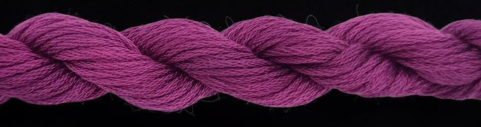 TX 11584: New Magenta