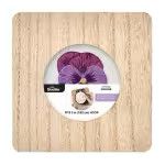 Bucilla Hoop Display - 3" Square
