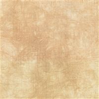 Aida 20 Ct-Aslan: Fat Quarter