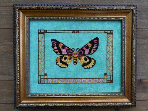 Western Sheep Moth