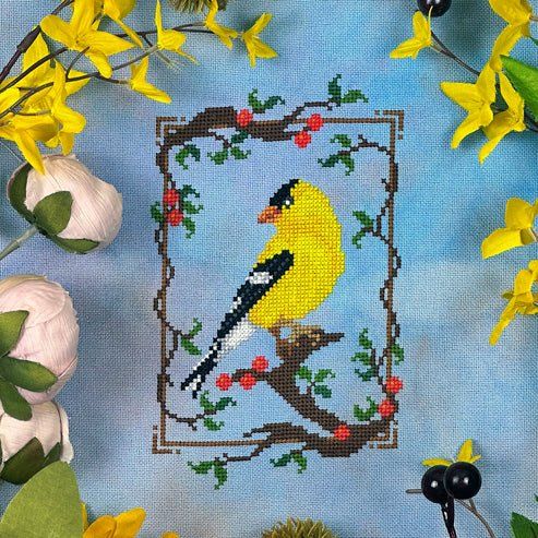 Summer Goldfinch