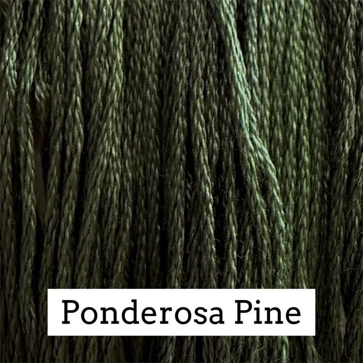 CCT: Ponderosa Pine