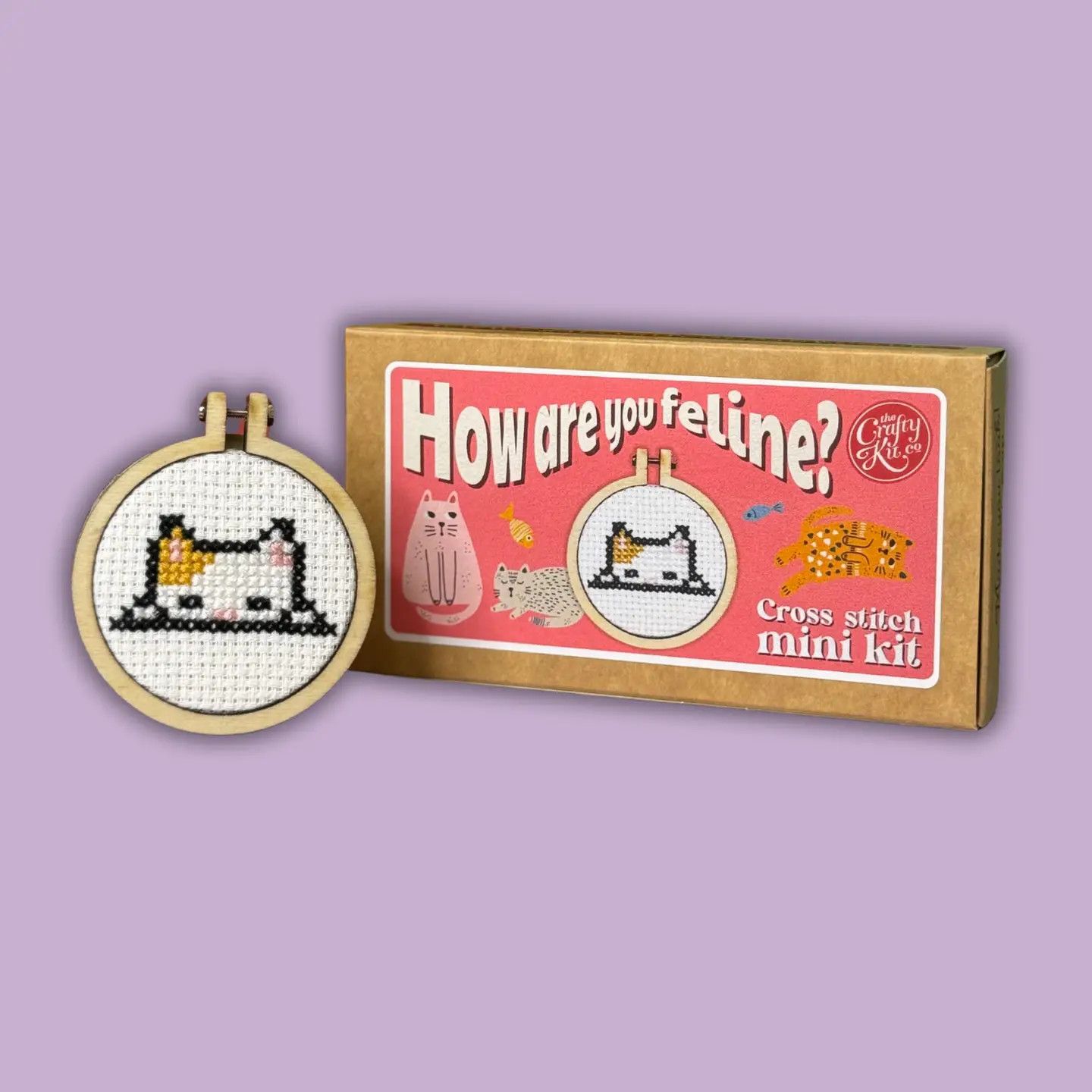 How Are You Feline? Mini Cross Stitch Kit