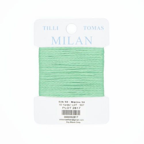 Milan 2817: Plot
