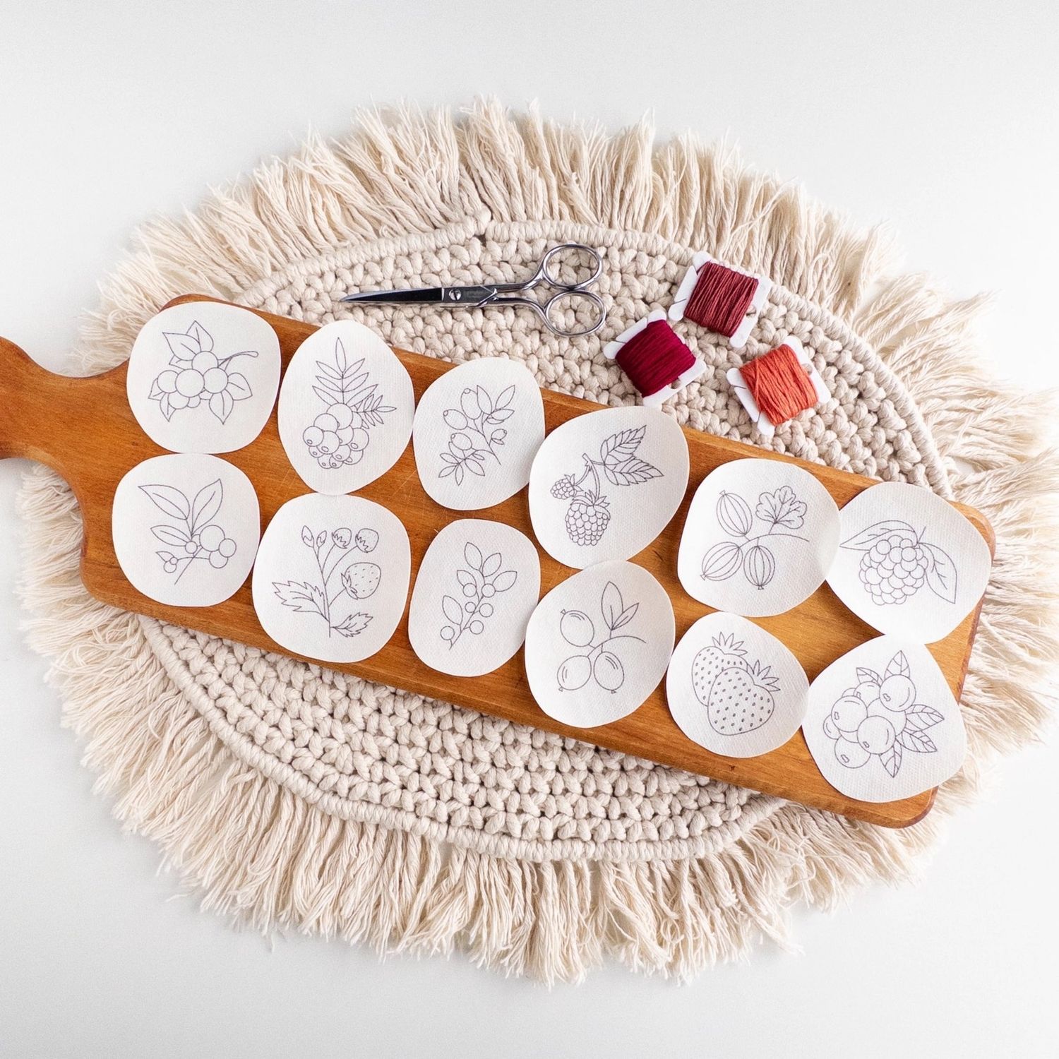 Stick &amp; Stitch: Berries (12 Designs)