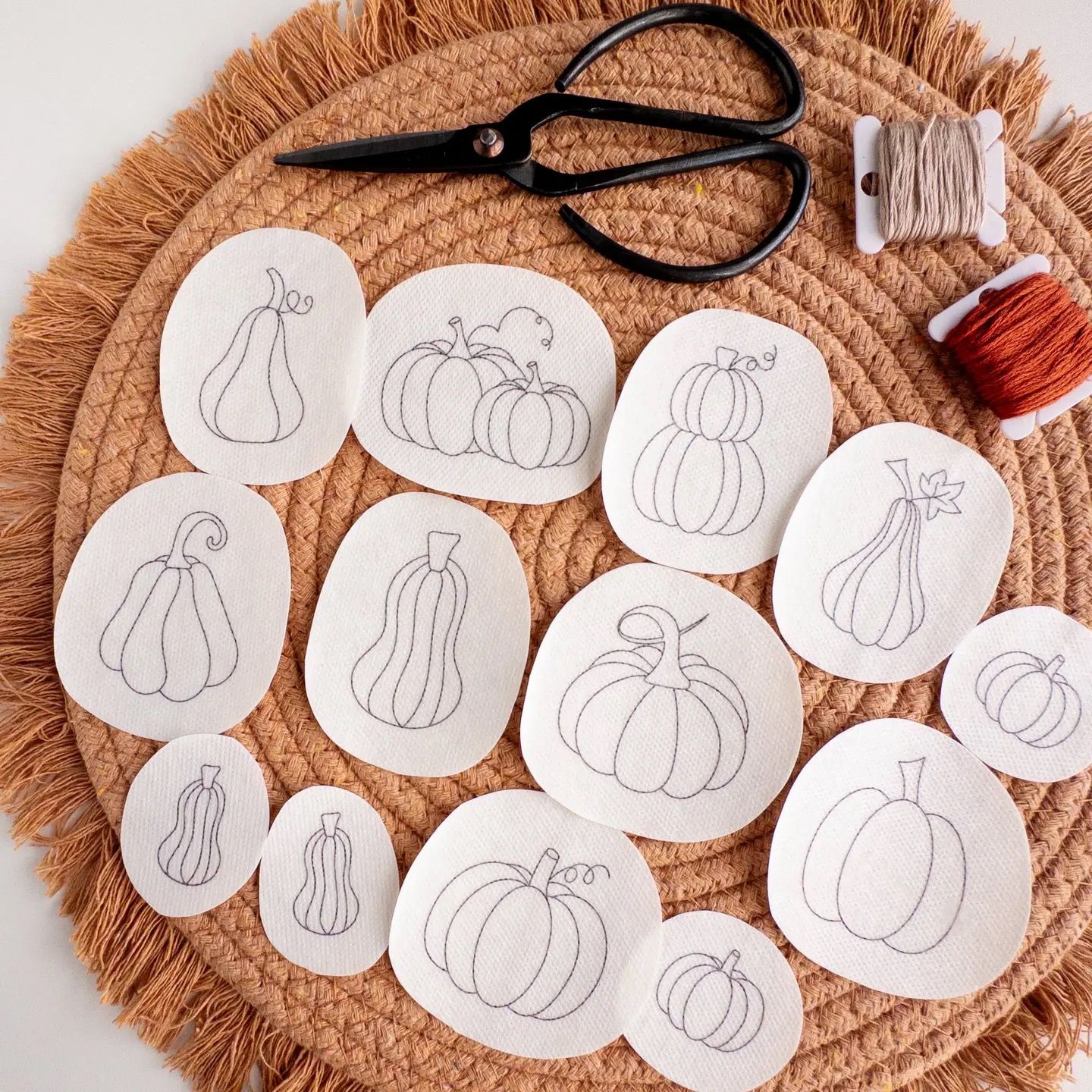 Stick &amp; Stitch: Pumpkins (13 Designs)