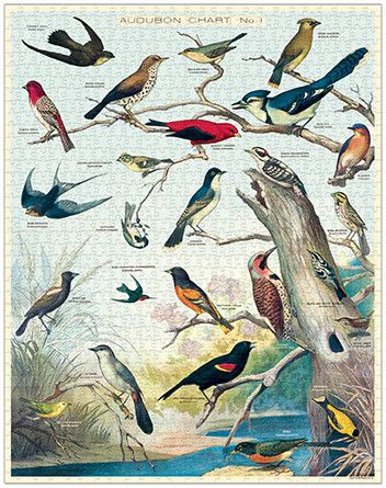 Cavallini Papers Vintage Puzzle - Birds