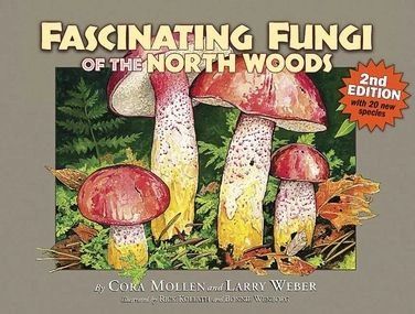 Adventurekeen - Fascinating Fungi of the North Woods