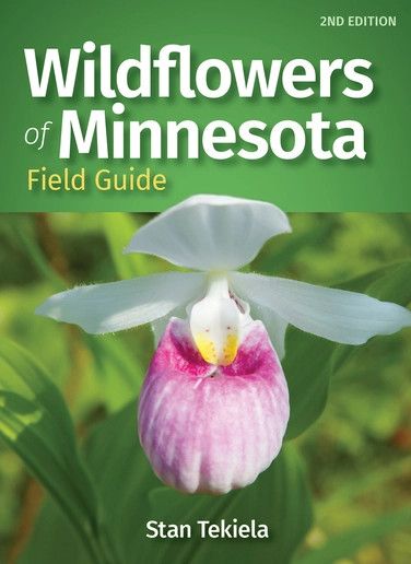 Adventurekeen - Wildflowers of Minnesota