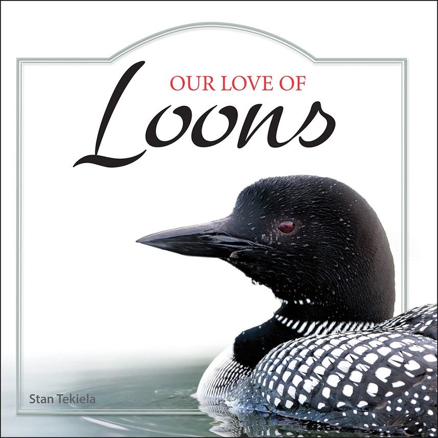 Adventurekeen - Our Love of Loons