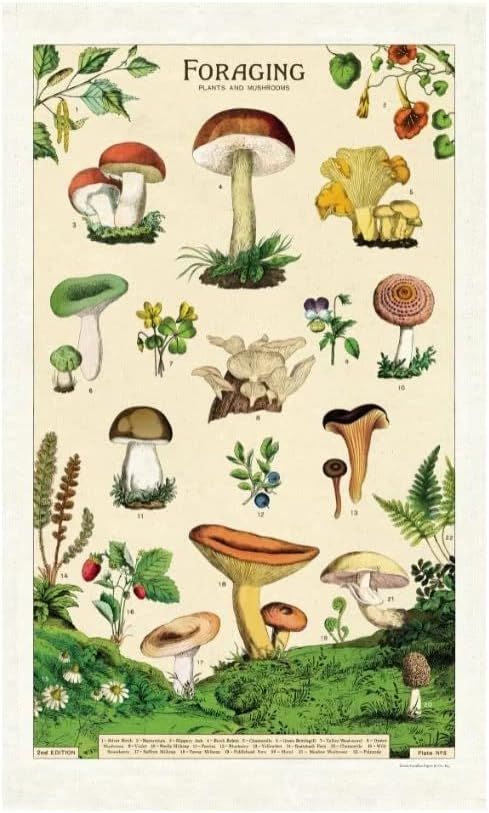 Cavallini Papers Vintage Tea Towel - Foraging