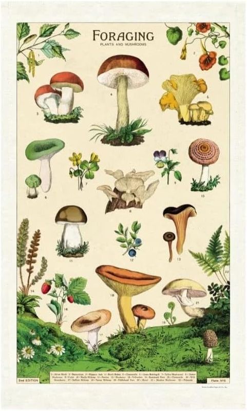 Cavallini Papers Vintage Tea Towel - Foraging