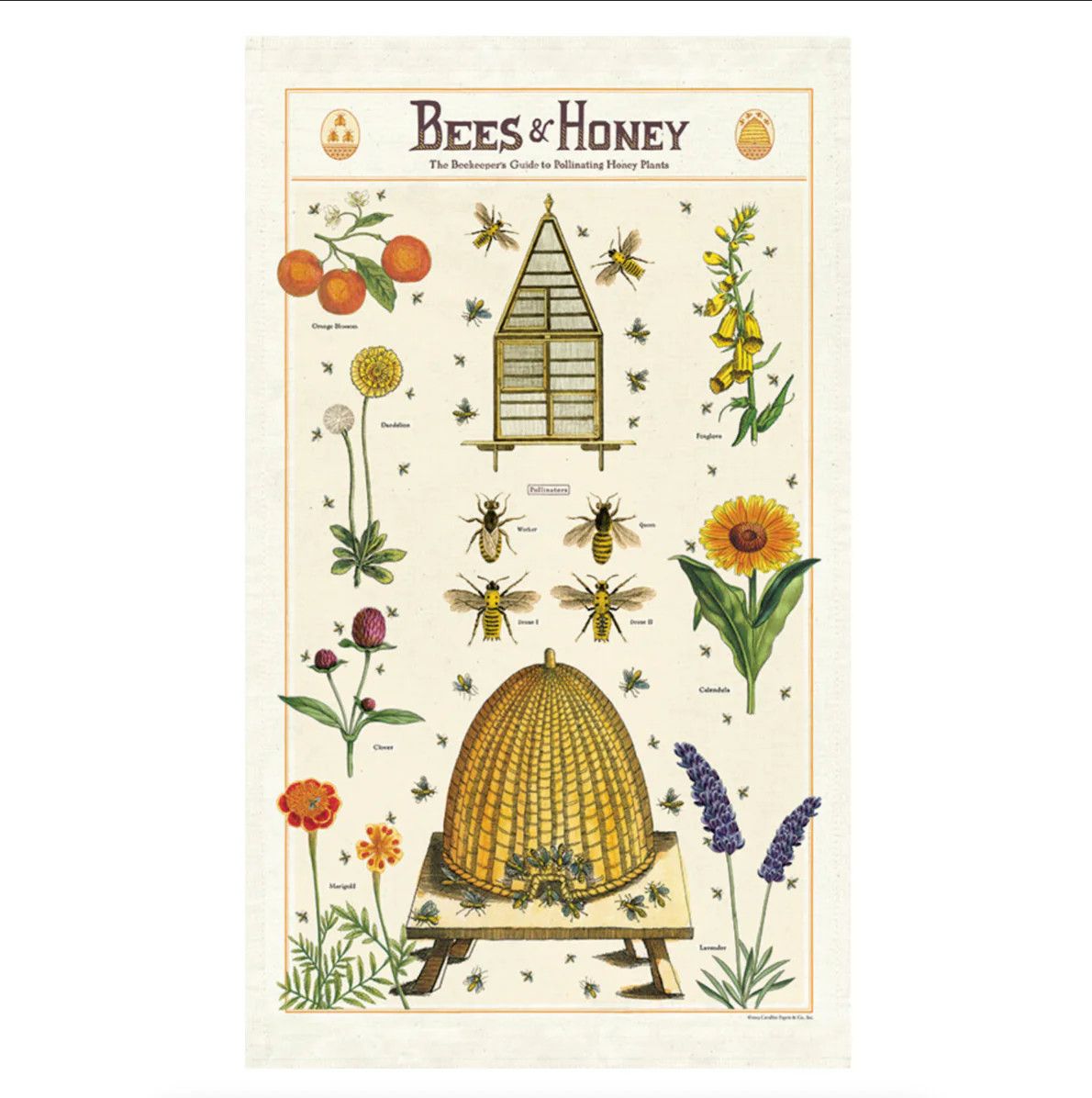Cavallini Papers Vintage Tea Towel - Bees &amp; Honey
