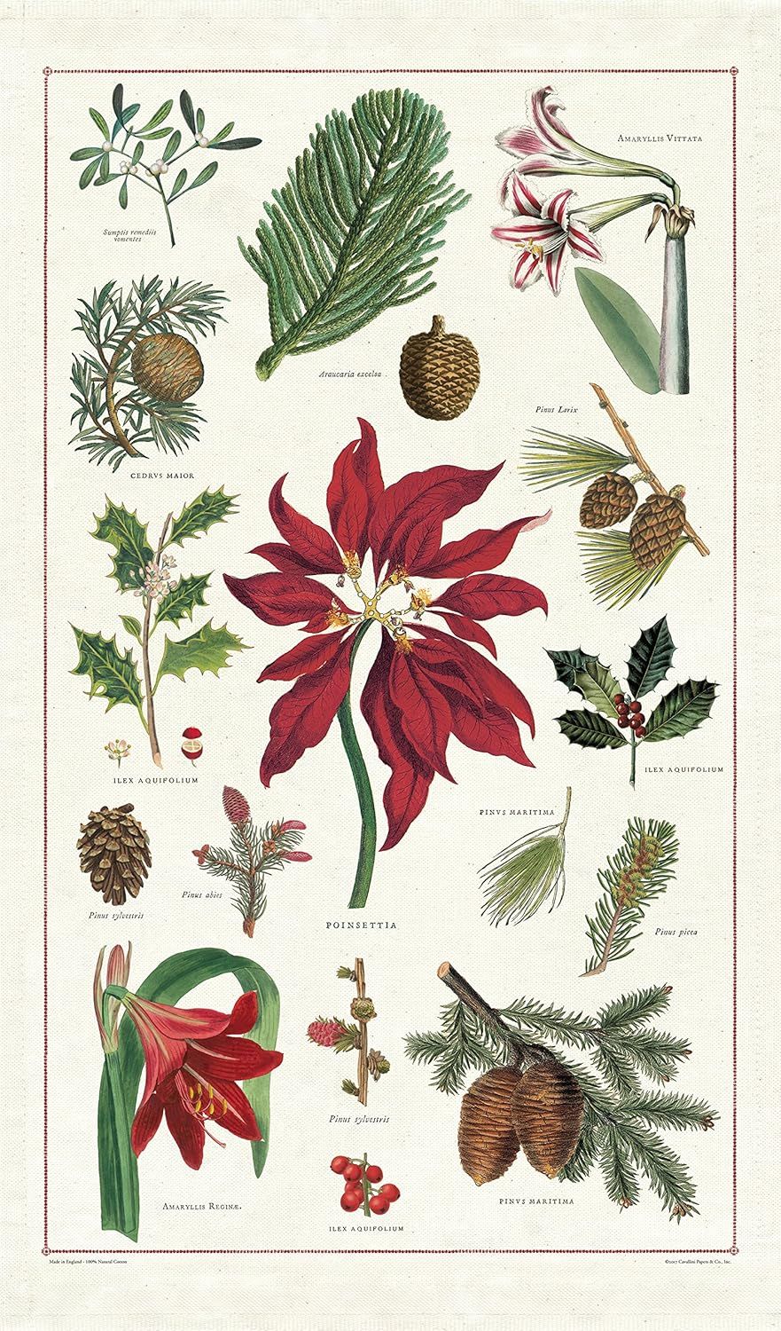 Cavallini Papers Vintage Tea Towel - Christmas