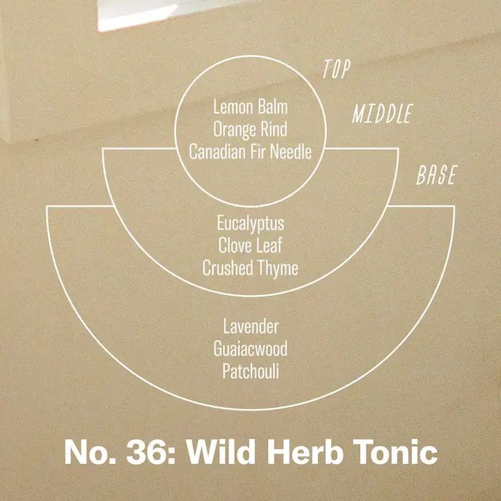 P. F. Candle Co Concentrated Candle - Wild Herb Tonic