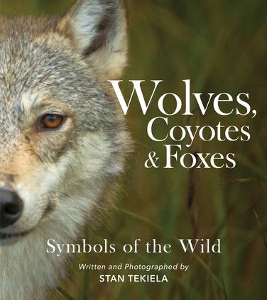 AdventureKeen - Wolves, Coyotes, Foxes