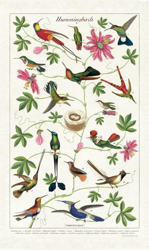 Cavallini Papers Vintage Tea Towel - Hummingbirds