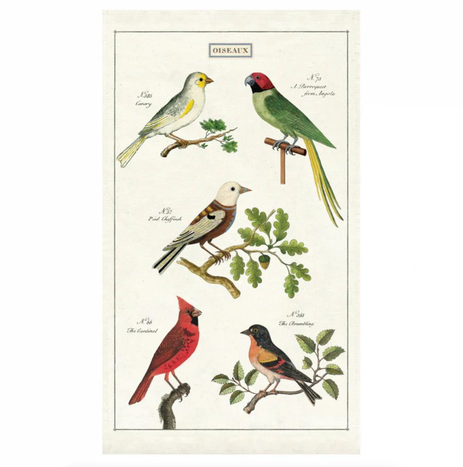 Cavallini Papers Vintage Tea Towel - Birds