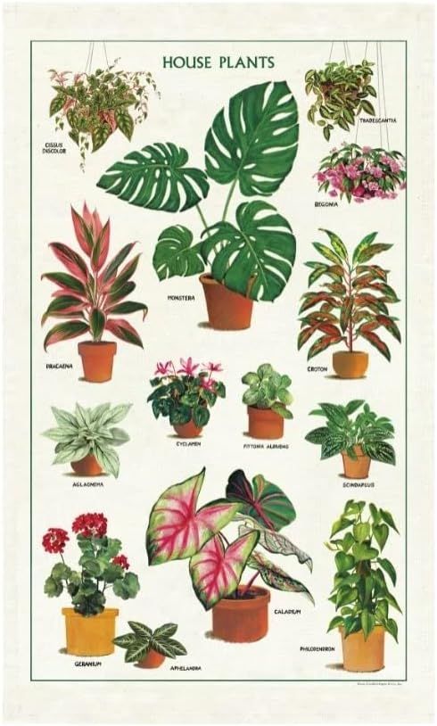 Cavallini Papers Vintage Tea Towel - House Plants