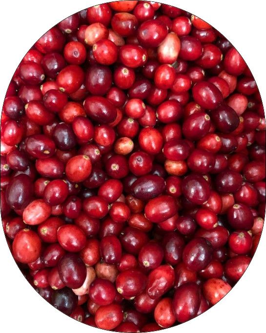 Serious Jam - Orange Curry Cranberry Butter