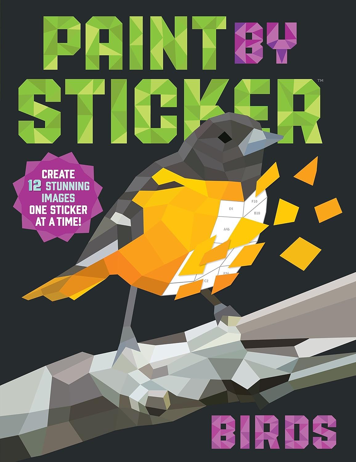 Hachette Book Group - Paint by Sticker:  Birds
