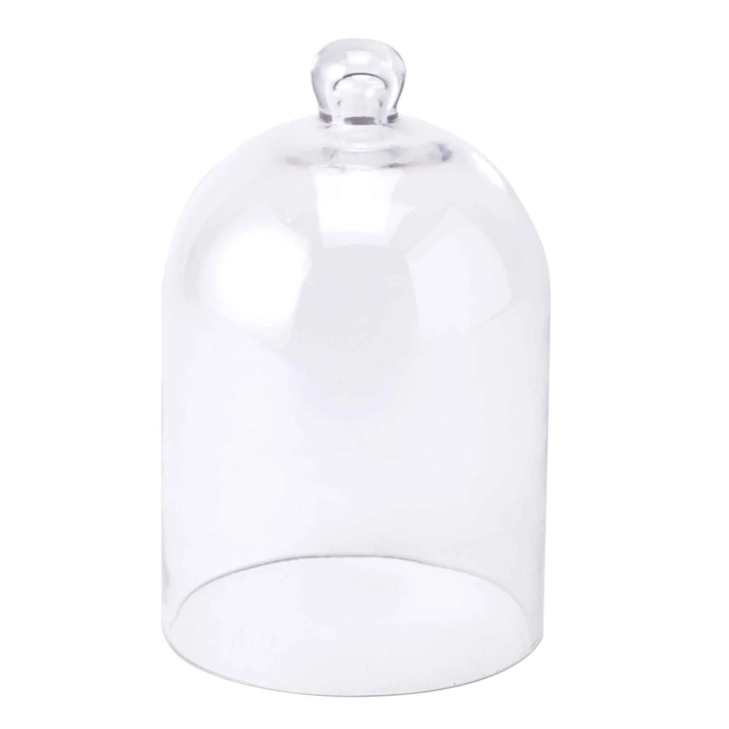Glass Cloche Dome
