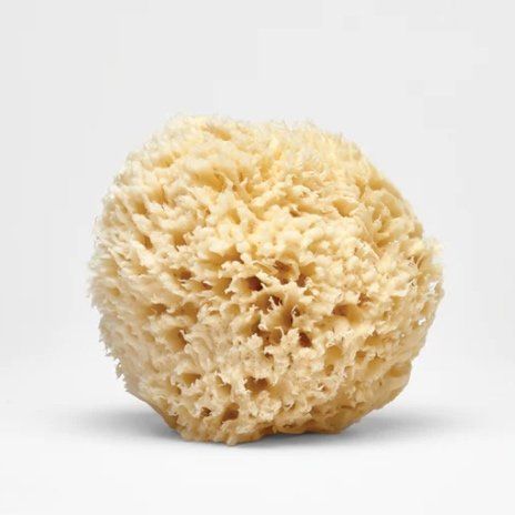 Nectar Republic - Bath Sea Sponge, Large