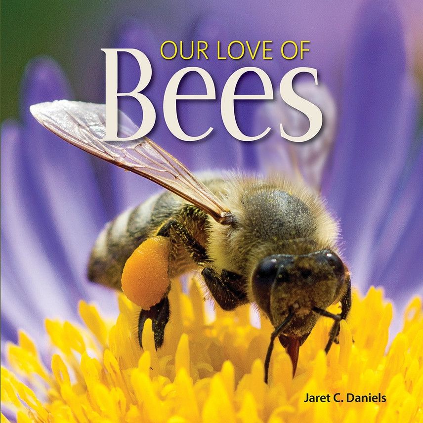 Adventurekeen - Our Love of Bees
