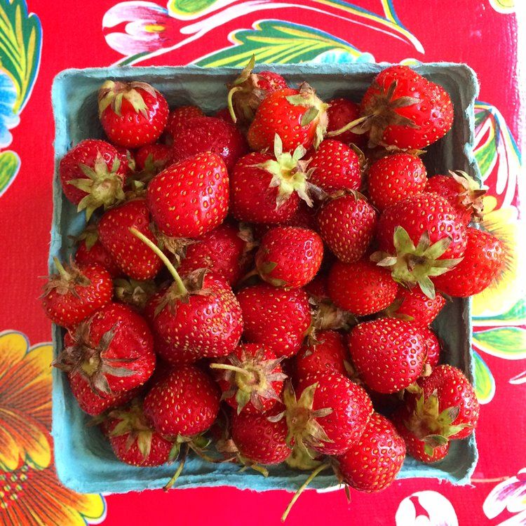 Serious Jam - Salted Strawberry