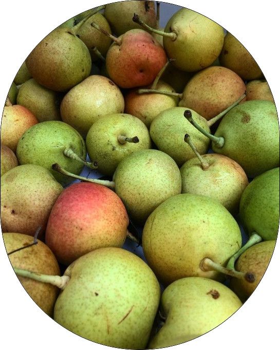 Serious Jam - Chai Spiced Pear Butter